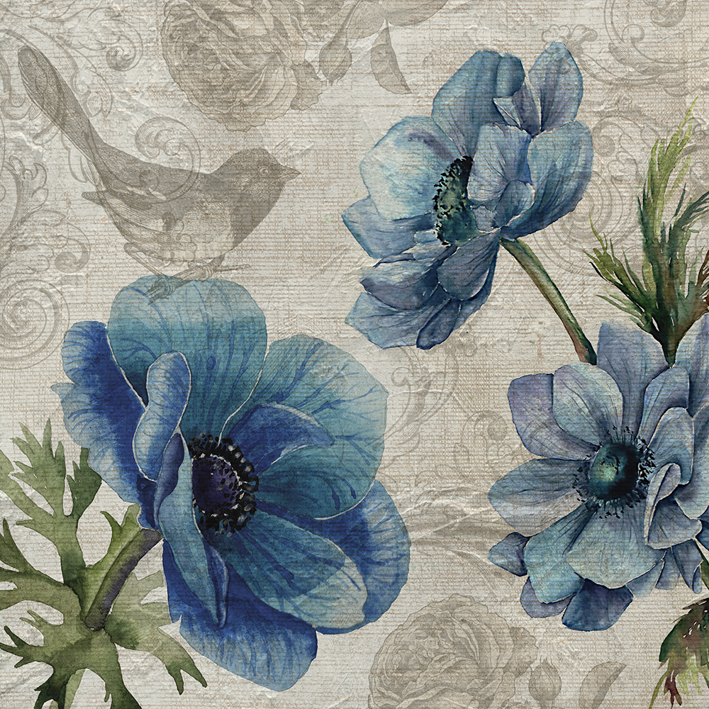 Blue Poppies