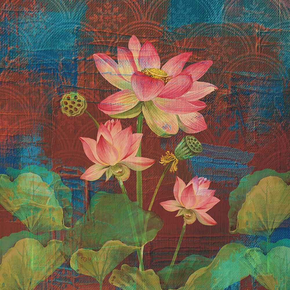 Charming Lotus