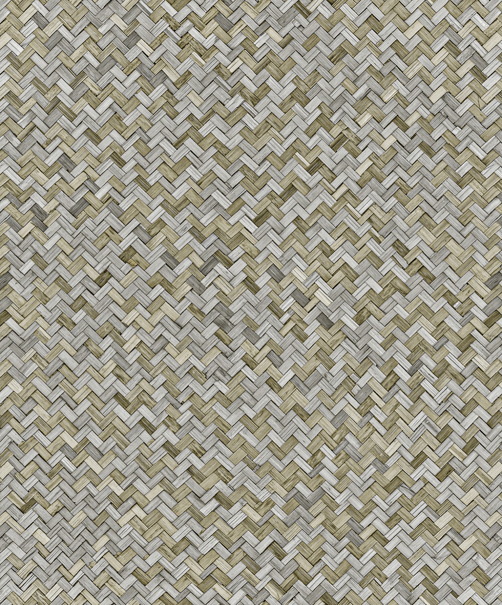 JR007