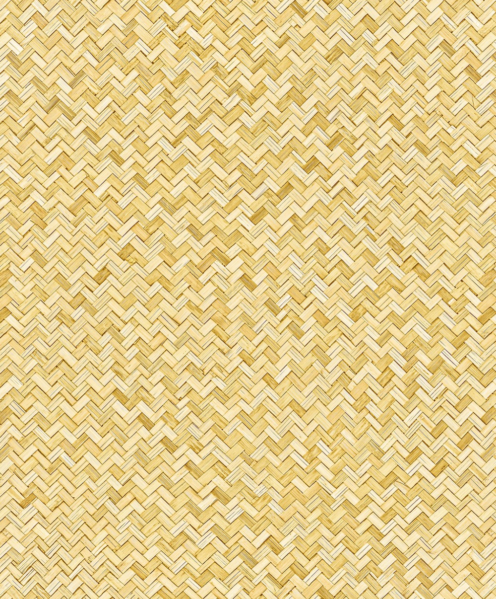 JR008
