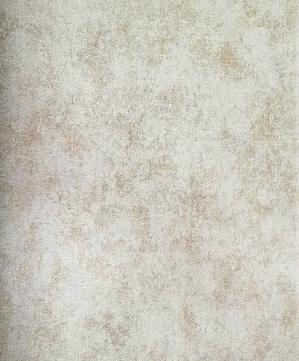 LS921