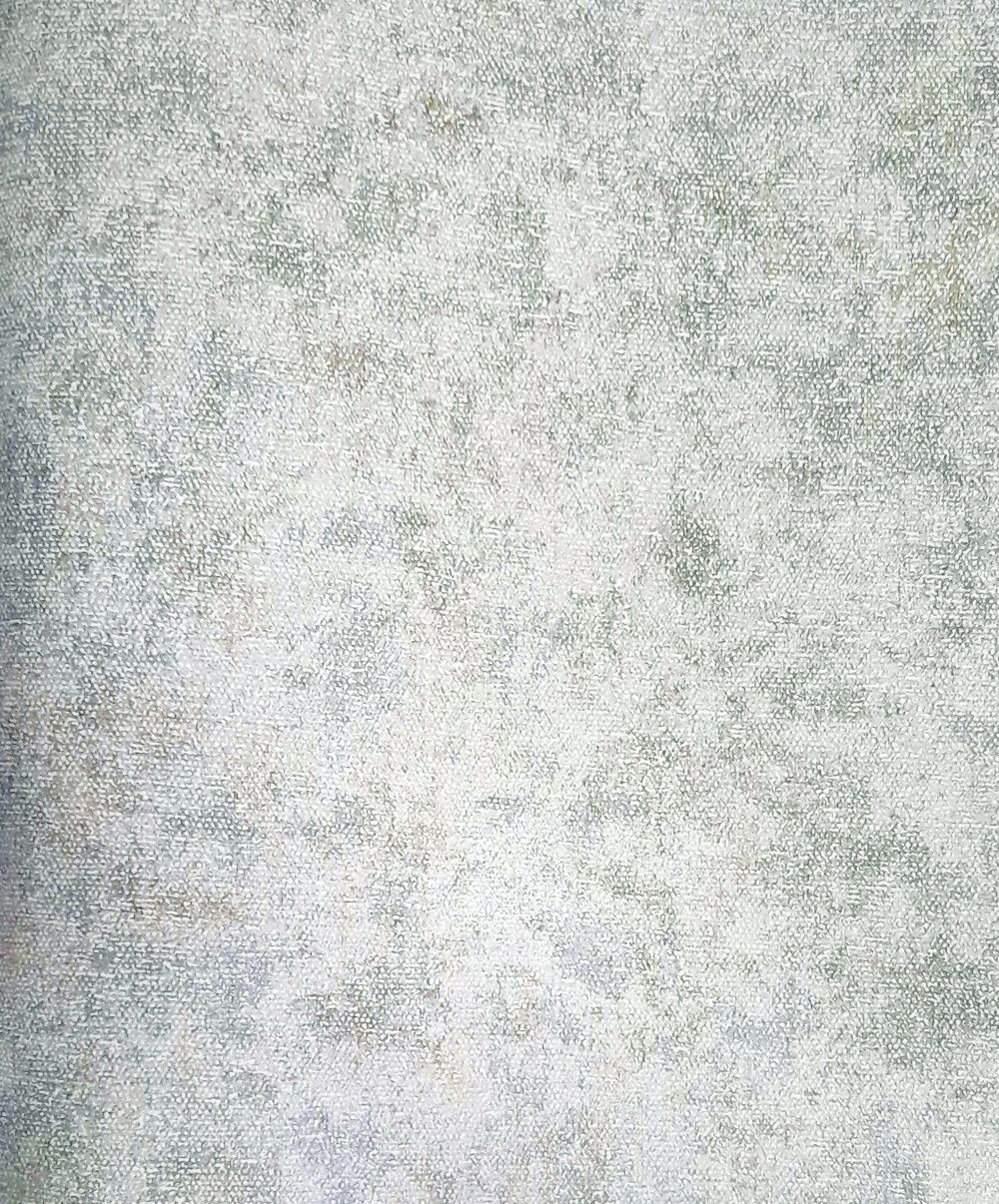 LS923